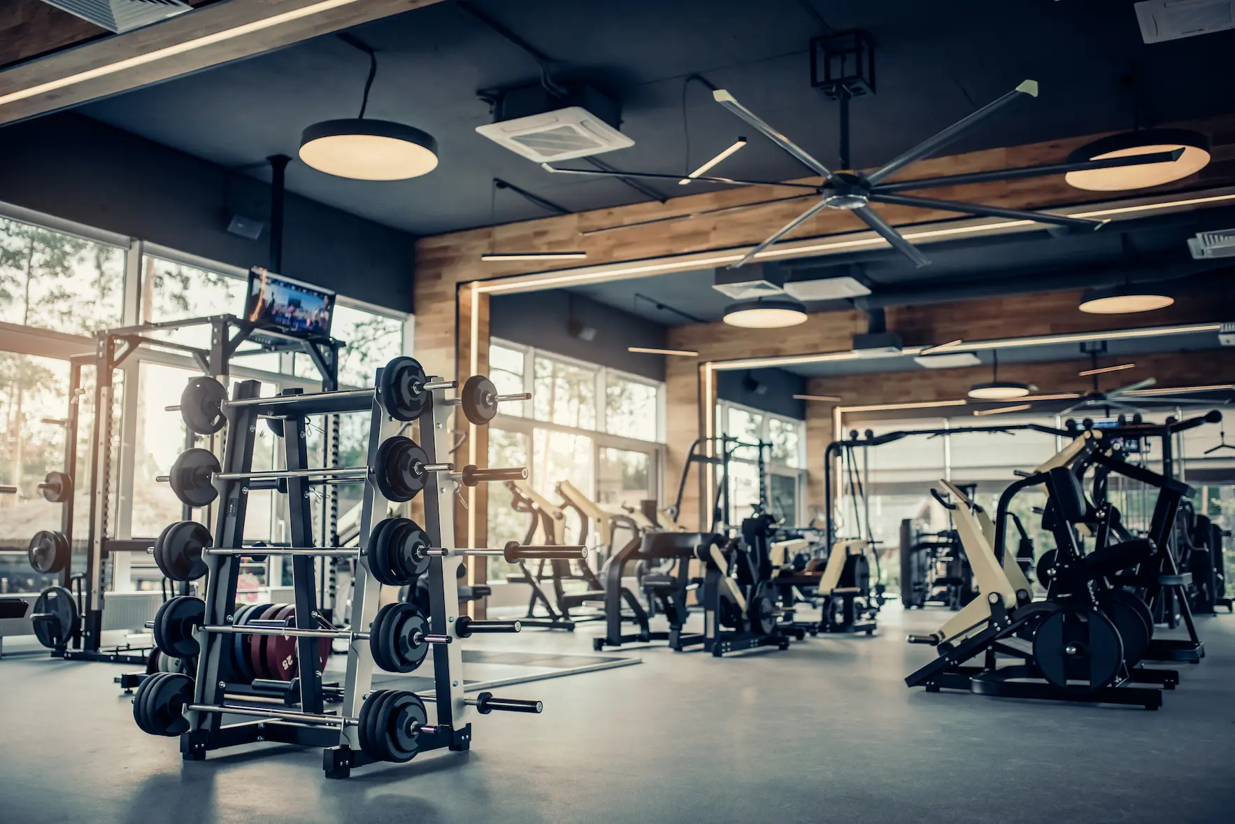 Espace d’entraînement Fitness équipé de machines et de charges libres